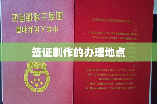 湖内签证制作的办理地点